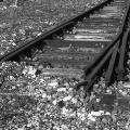 rails (10)