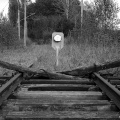 rails (11)